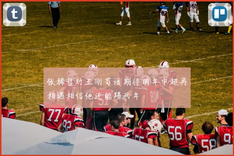 张稀哲对王刚寄语期待明年中超再相遇相信他还能踢两年